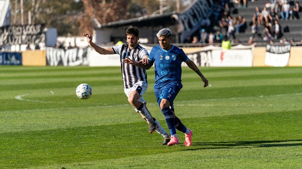 What are the essential items every UK pet owner should have?