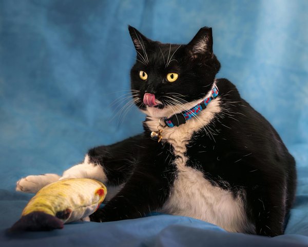 What are the environmental considerations for UK sports venues?